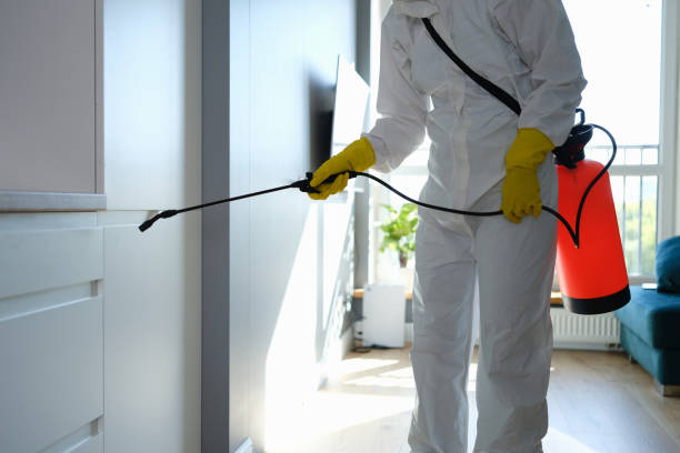Best Certified Mold Removal  in Salix, PA