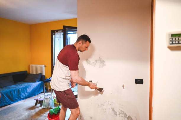 Best Attic Mold Removal  in Salix, PA