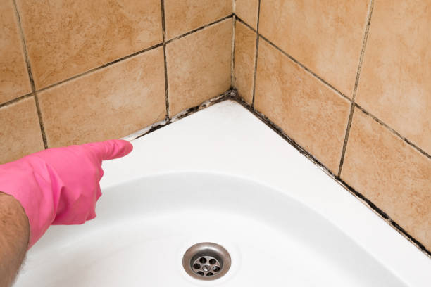 Salix, PA Mold Removal Company